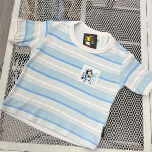 Camiseta Bluey
