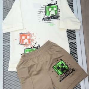 Conjunto De Minecraft ..