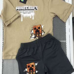 Conjunto Minecraft