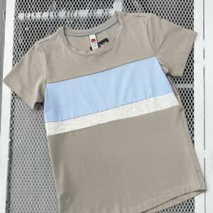 Camiseta Gris